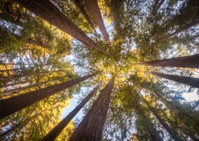 Hebrews Presents the Greatest Revelation to Humankind