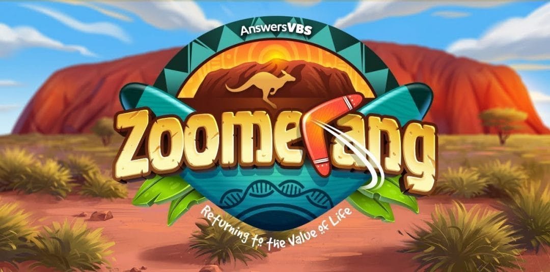 Zoomerang